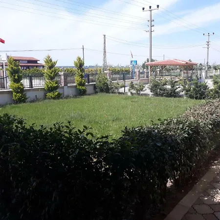Eksen Geyikli